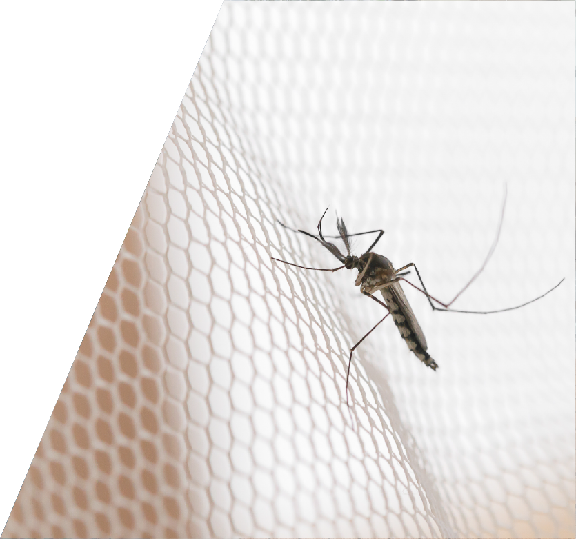 sto-protection_moustique